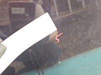 Drzwi przód prawe Nissan Qashqai I J10 06-13 5d czarny GAB - NIGHTSHADE