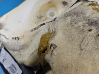 Wykładzina DYWAN PODŁOGA Renault Trafic III 749025620R