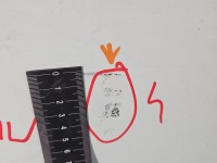 DRZWI PRZÓD PRAWE PASAŻERA Isuzu D-Max II 11-19 2d 527