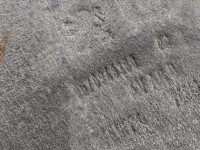 Nadkole przód prawe Peugeot 508 I 9670948380