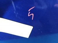 DRZWI PRZÓD LEWE KIEROWCY Fiat Grande Punto 5d 599A