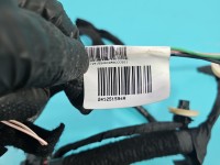 Instalacja Wiązka drzwi przód prawych Renault Megane IV 241251594R