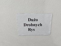 DRZWI PRZÓD PRAWE PASAŻERA Renault Trafic II 5d czarny