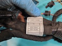 InstalacJa Wiązka silnika A501132840, H4D3-12A690, G4D3-14A0099-A 2.0d (204DTD) Jaguar XE X760