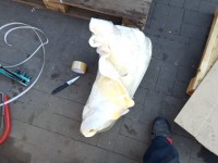 Sterownik LPG gazu STAG 300 - 4