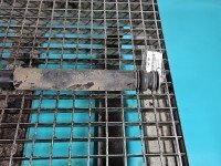 Amortyzator tył prawy Suzuki Vitara II 15- HB tylny