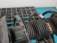 Sprężyna przód przednia i20 III 2020- 1.2 16V (G4LF)