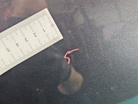 DRZWI PRZÓD PRAWE PASAŻERA Mazda 6 III GJ 4d grafit 42A
