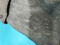 Nadkole tył lewe Renault Megane IV