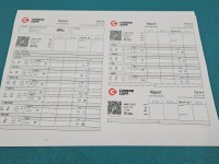 TESTOWANY Wtryskiwacz 0445110351 Fiat Doblo II 10- 1.3 jtd 263A6000 75KM