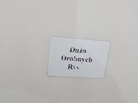 DRZWI PRZÓD PRAWE PASAŻERA Vw Passat CC 4d LC8Y jasnobrązowy