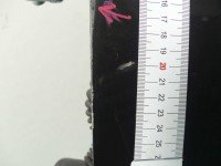 DRZWI PRZÓD LEWE KIEROWCY Lancia Delta III 08-14 5d szary 935