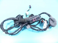 Instalacja Wiązka drzwi przód lewych AUDI Q5 8R 08- 4066160005, 8R0971029AB