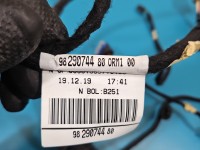 Instalacja Wiązka drzwi tył prawych Peugeot 3008 II 9829074480