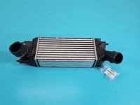 Intercooler Peugeot 407 2.0 hdi