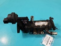 Chłodnica spalin Renault Laguna III 8200873678 2.0 dci (M9R N744)
