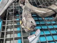 Zwrotnica prawa piasta przód 2.0 tdi Audi A4 B7