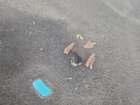 Wygłuszenie maski PODBITKA Volvo V40 II 12-