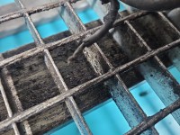 Zwrotnica prawa piasta przód 2.0 20v (ALT) Audi A4 B6