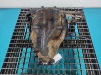 Most tylny DYFER tył Mercedes Vito W639 9043530210 2,2.0 cdi (651900)