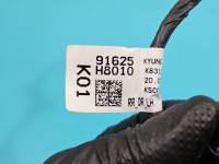 Instalacja Wiązka drzwi tył lewych Kia Rio IV 16-23 91625 H8010