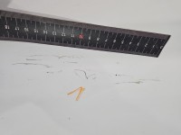 DRZWI PRZÓD PRAWE PASAŻERA Fiat Ducato IV 5d 549