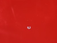 Maska przednia Chevrolet Aveo T250 71U