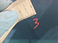 DRZWI PRZÓD LEWE KIEROWCY Ford Focus Mk1 5d