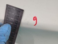 DRZWI PRZÓD PRAWE PASAŻERA Ford Transit Connect I MK1 5d biały AA