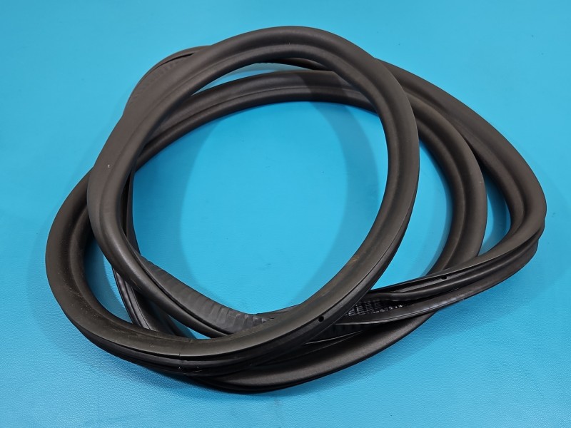 Uszczelka drzwi tył lewa BMW G30 7381326