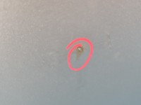 Drzwi tył prawe Toyota Avensis II T25 HB 5d srebrny 6T1