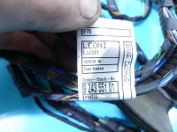 Instalacja Wiązka drzwi tył prawych BMW X5 E70 9243551