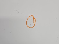 Maska przednia Citroen C5 II X7 biały EWP