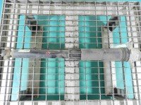 Amortyzator tył lewy Seat Leon III 12- kombi tylny