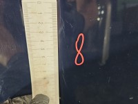 Maska przednia Seat Toledo II Leon I granatowy