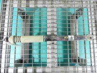 Amortyzator tył prawy Renault Thalia I sedan tylny