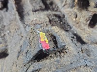 Skrzynia biegów Fiat Punto II 1.3 jtd