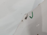 Błotnik przód lewy Honda Civic IX NH788P