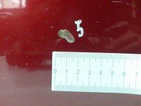 DRZWI PRZÓD LEWE KIEROWCY Chevrolet Aveo T250 3d czerwony 06U