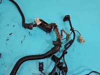 InstalacJa Wiązka silnika 850790407, 758067806C 2.0d (N47D20C) bmw F30