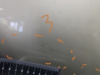 Drzwi tył lewe Vw Golf IV HB 5d