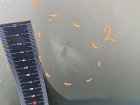 Drzwi tył lewe Vw Golf IV HB 5d