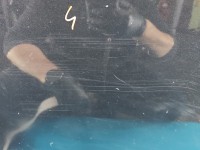 Drzwi tył prawe Suzuki Splash HB 5d