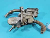 Chłodnica spalin Renault Megane III 8200804050 1.9 dci