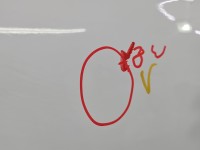 DRZWI PRZÓD LEWE KIEROWCY Opel Corsa E 3d Z40R