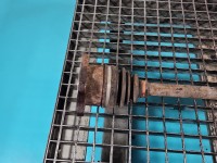 Półoś tył prawa INFINITI QX50 3.7 V6 automat