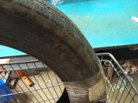 Lanvigator, Catchfors Allseason, 225 mm, Profil opony: 55, Średnica: 18", 6924064110953, Rok produkcji: 2021, V do 240 km/h,...