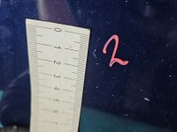 DRZWI PRZÓD LEWE KIEROWCY Jeep Compass I 06-16 5d granatowy