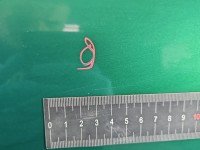 DRZWI PRZÓD PRAWE PASAŻERA Renault Clio II 5d zielony NV901