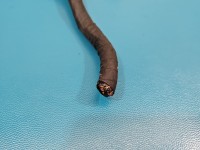 Wiązka zderzaka tył Bmw F34 GT Instalacja pdc